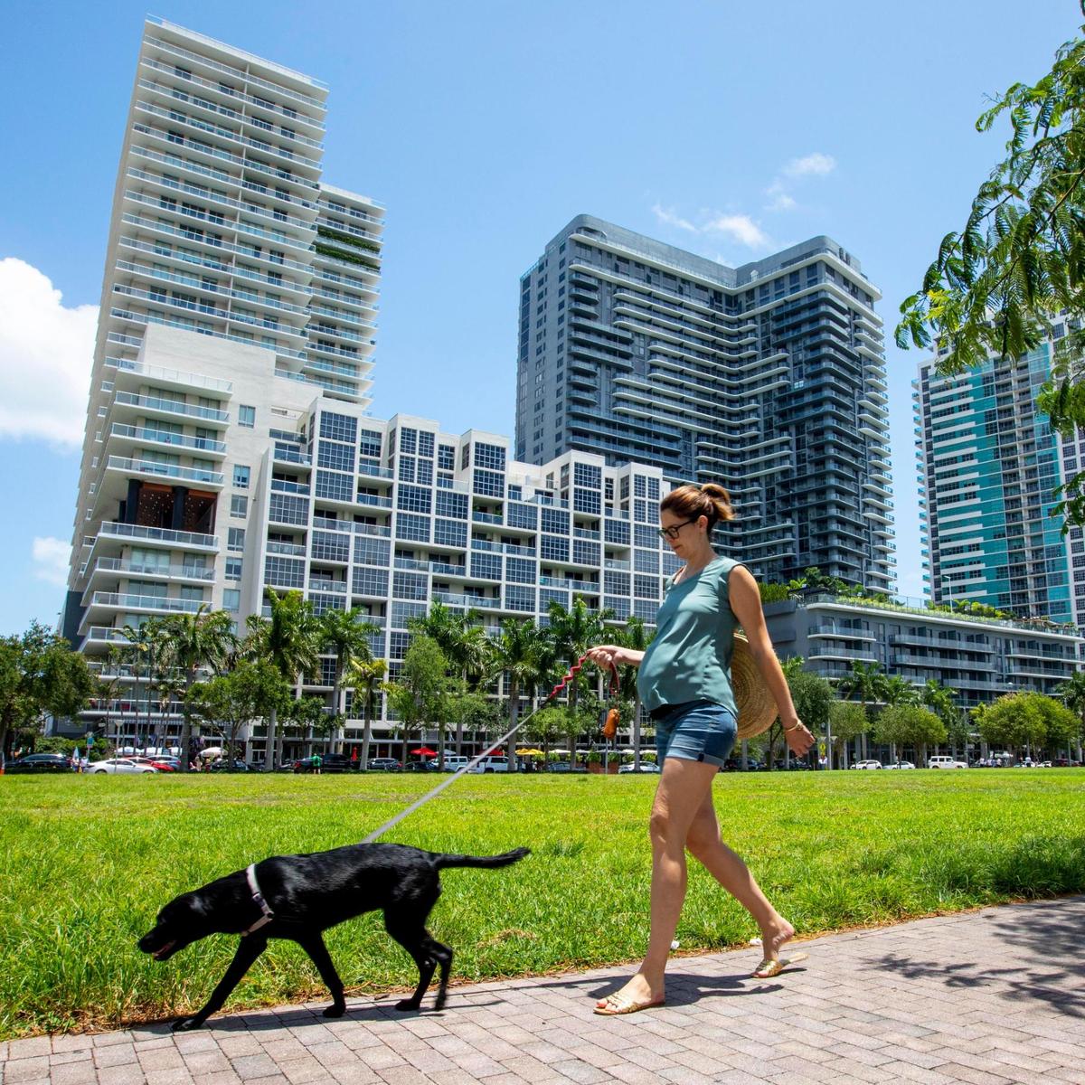 Midtown resident, Natasa Lekic, 38, walks her dog Kali near The Shops at Midtown Miami, on Friday, May 21, 2021.