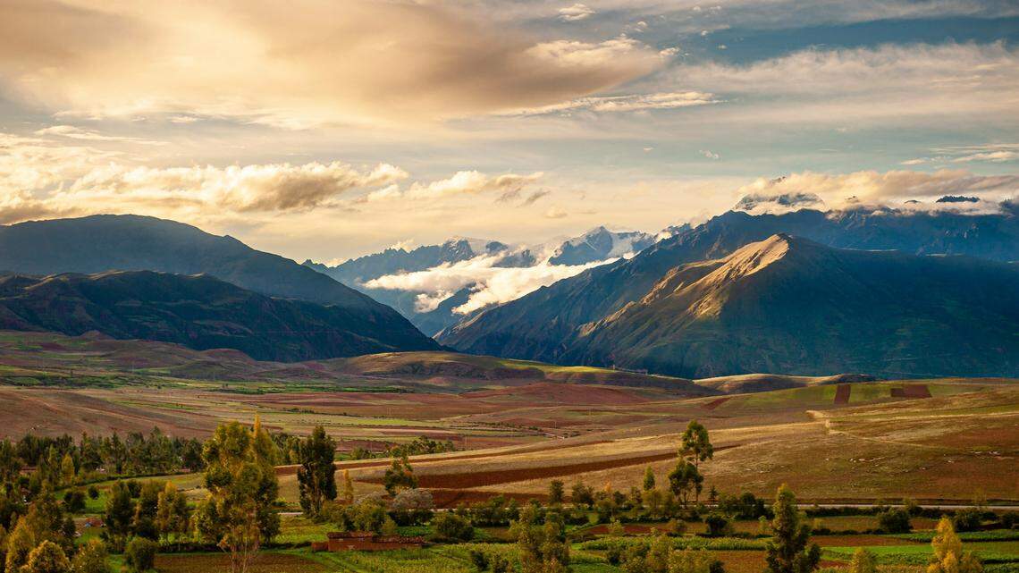 In the Peruvian Andes, a small species of frog remained undetected in the scientific record for more than a century.