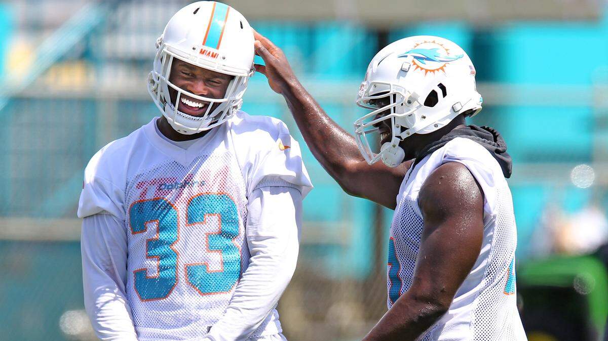 Running back Frank Gore (21) taps Kalen Ballage on the helmet during Dolphins practice in June. Ballage has been one of the Dolphins’ best young players in camp.