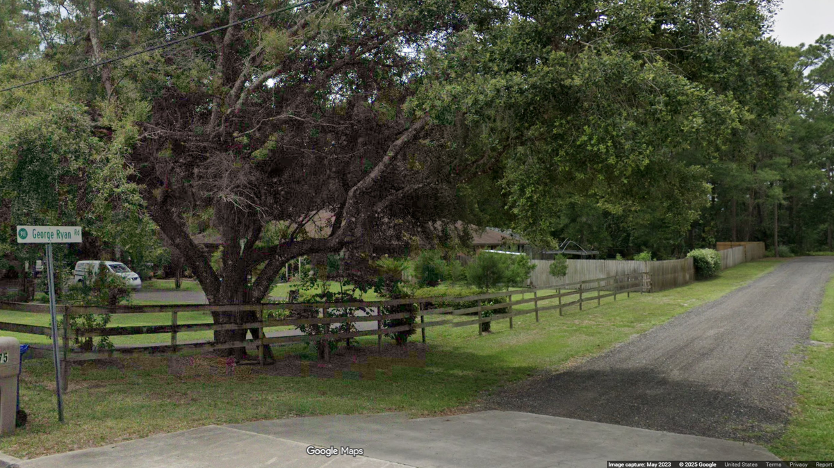 A tree service worker was killed on George Ryan Road near DeLand when he was crushed by a falling tree trunk, the Volusia Sheriff’s Office says.