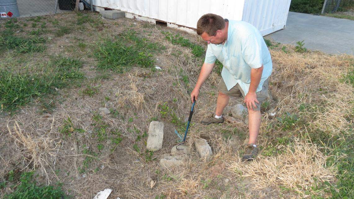 Scientists discovered a new species of “slender” animal “wildly” flailing in ant colony by an airport in Timor-Leste, the study said.