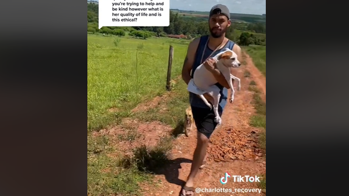 “She deserves everything,” one viewer told the Florida family. “Thank you for giving her a chance.”