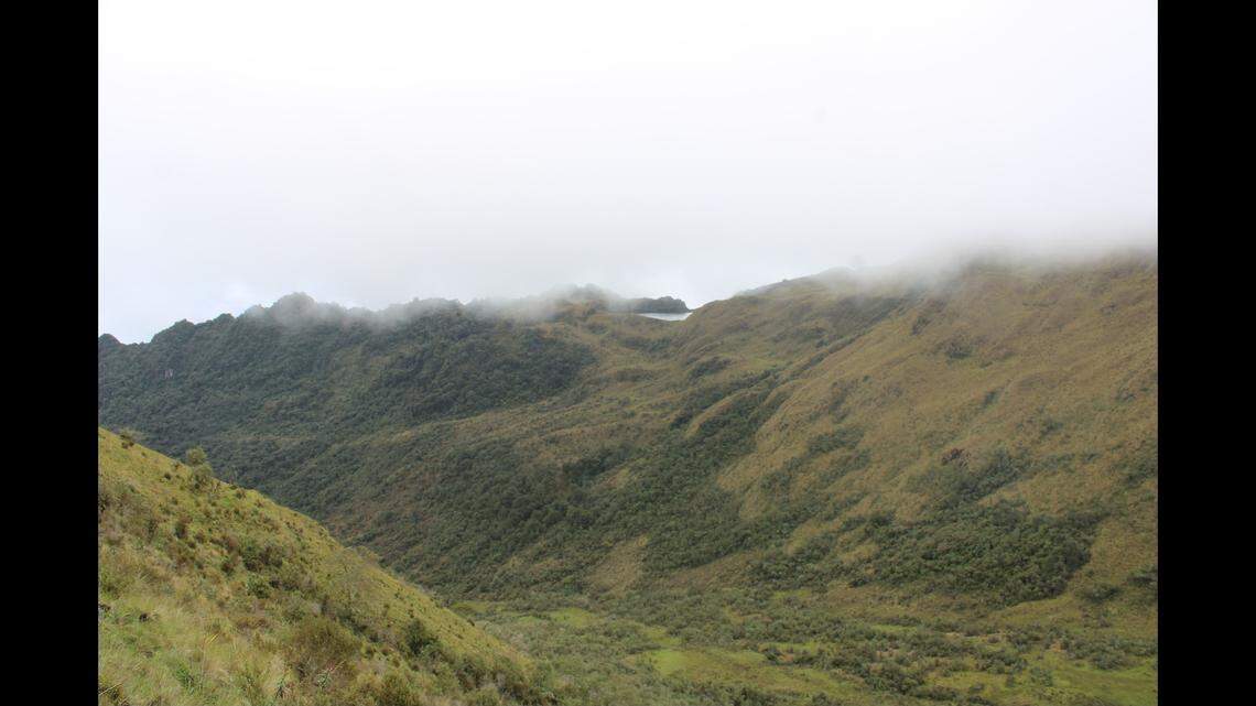 The animal was found beneath rocks in the Andean grasslands of southern Peru, the study said.