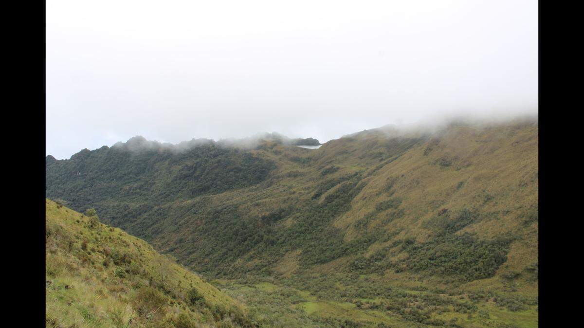 The animal was found beneath rocks in the Andean grasslands of southern Peru, the study said.