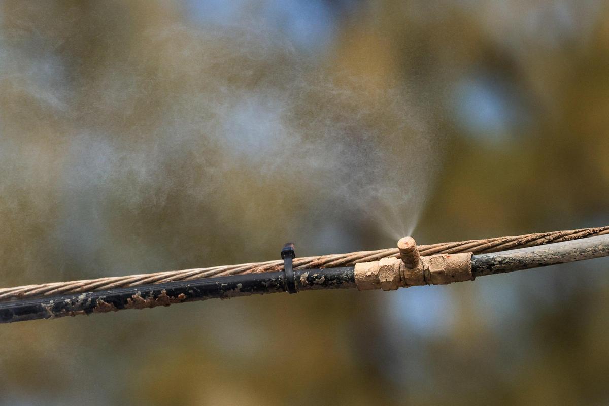 A hose spraying a citrusy water mist can be seen over the fence surrounding parts of the Central District Wastewater Treatment Plant in Virginia Key, Florida, on Thursday, Jan. 16, 2025.