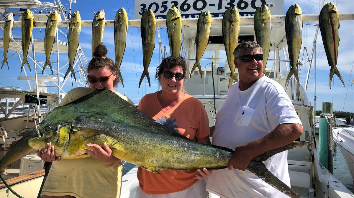 Dolphin charter catch: Fishing for dolphin in August was excellent in the Florida Keys. These happy anglers fished on Redfish out of Bud N’ Mary’s Marina in Islamorada.
