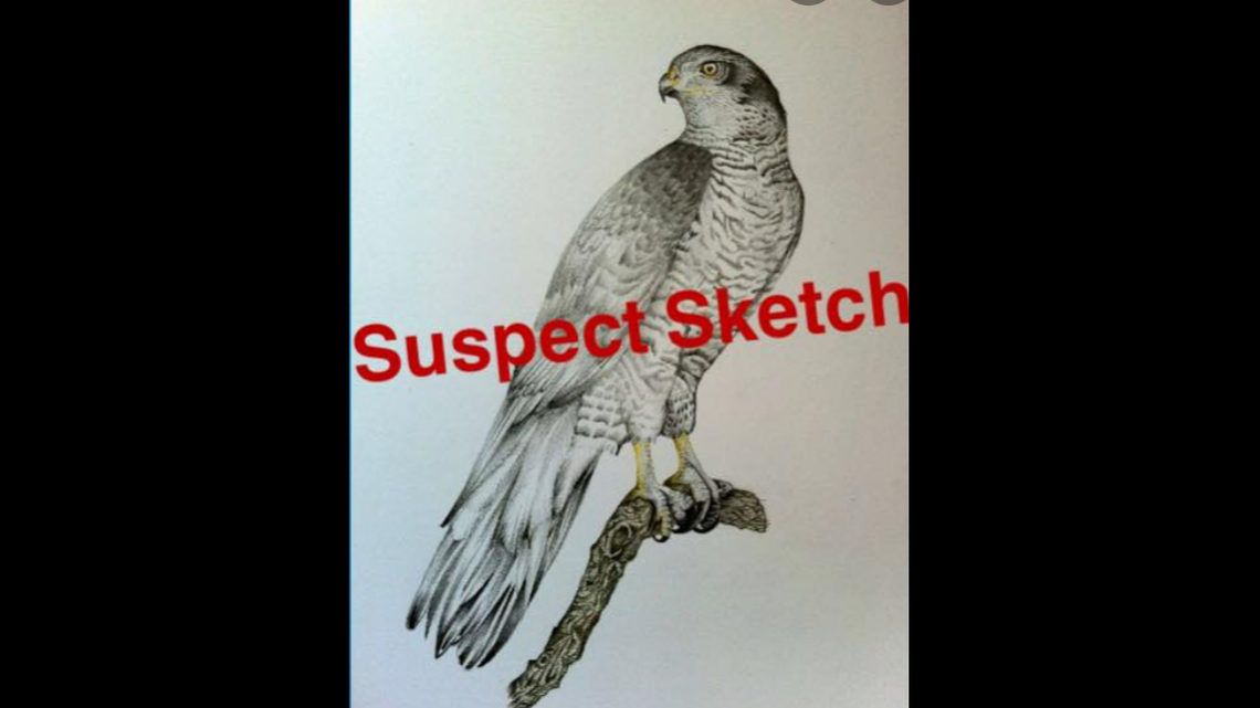 Police shared a sketch of the suspect.