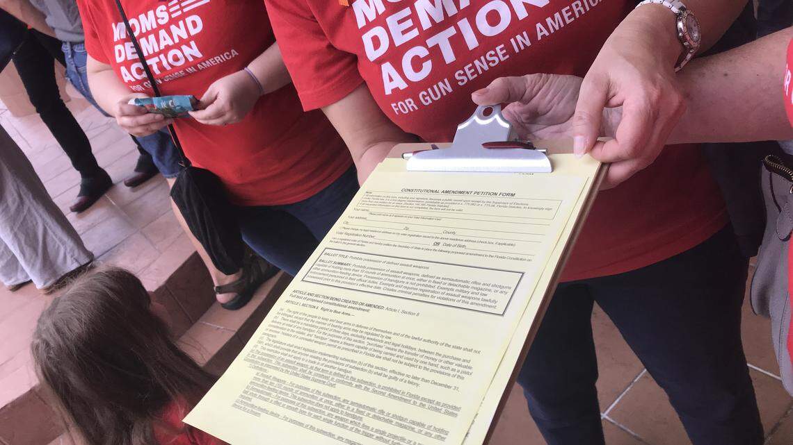 When it comes to an assault weapons ban in Florida, let people vote, Influencers say