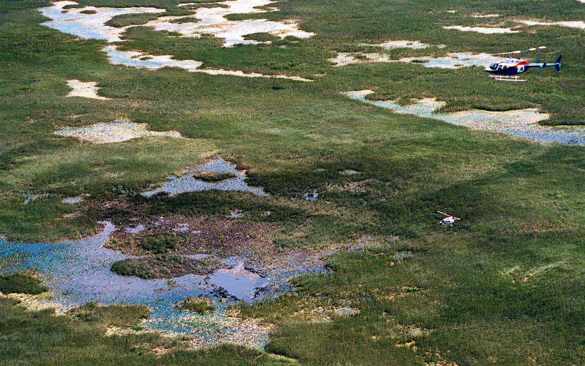 Shortly after the crash on Saturday afternoon, May 11, 1996, all that can be seen of Valujet Flight 592 is a small crater in the muck of the Everglades west of Miami. Miami Herald Staff Photo by Chuck Fadely