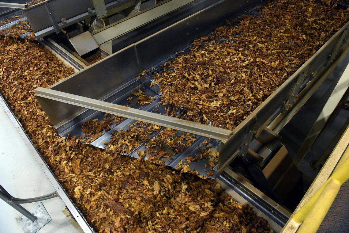 In this Dec. 1, 2016 file photo, processed tobacco heads down the line at a tobacco company in Danville, Virginia.