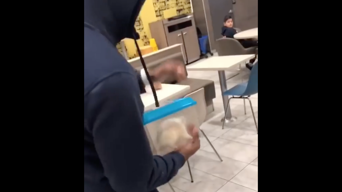 A man released a big white rat inside a McDonald’s in Newark, New Jersey, causing people inside the fast food restaurant to scream and run outside, video shows. McDonald’s is helping police in the investigation.