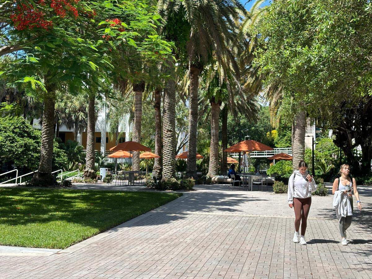 A lushly-landscaped patio for study and relaxation on center campus near the University of Miami’s business school on July 24, 2024.