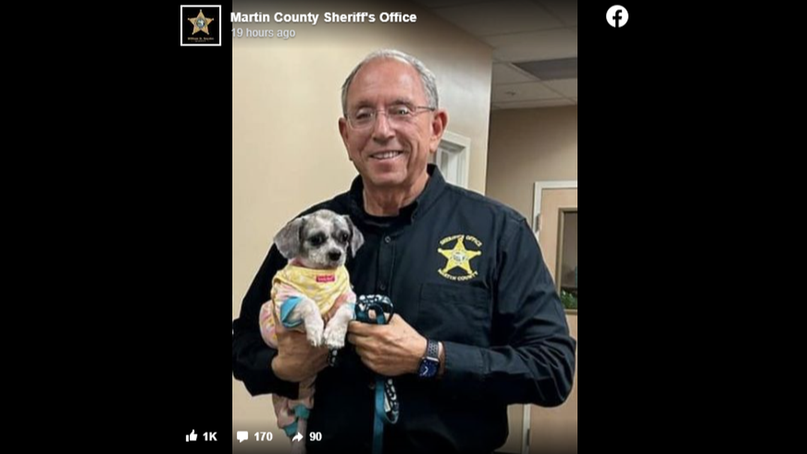 The dogs’ former owner was charged with nine counts of animal abandonment and cruelty, the sheriff’s office said, meaning the search can begin for their new homes.