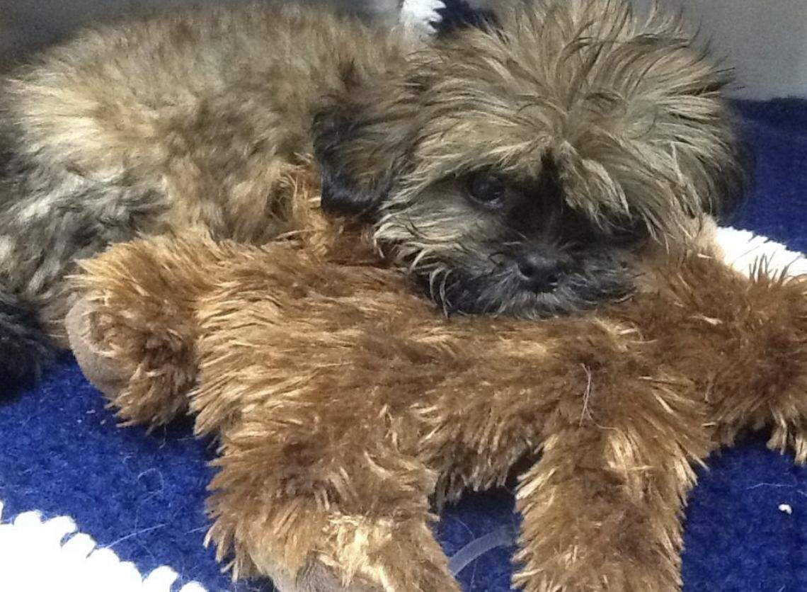 “Picture provided by affected consumer Meaghan Huber,” according to New York Attorney General Letitia James’ news release.