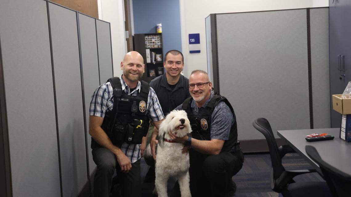 Rags, a 2-year-old deaf sheepdog who police said was stolen from his Alabama home, was found in Arizona after over a year later.