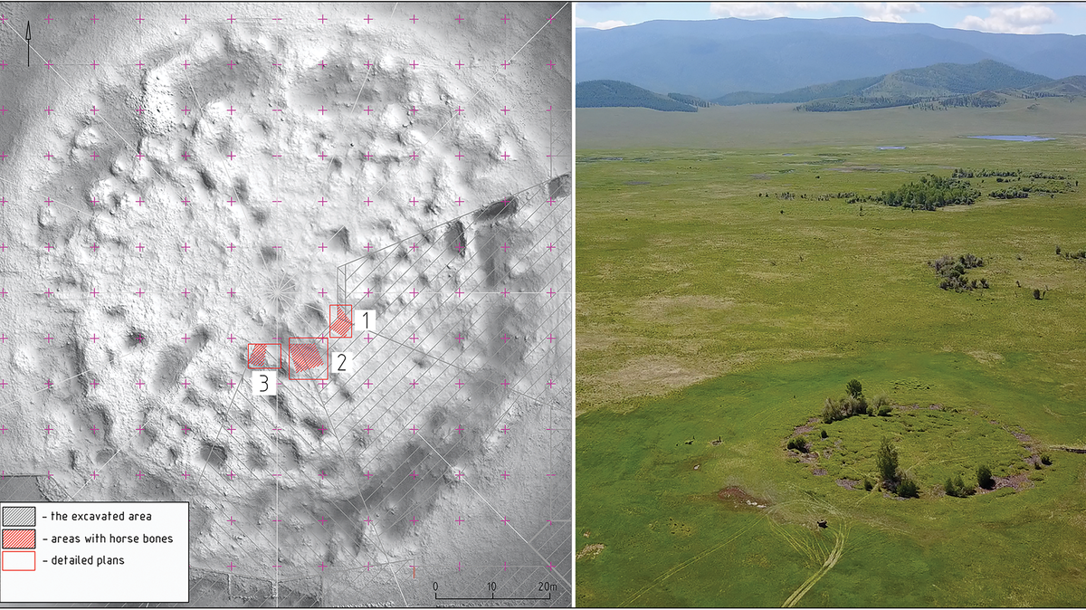 The burial mound included an elite human burial and at least 18 sacrificed horses, researchers said.