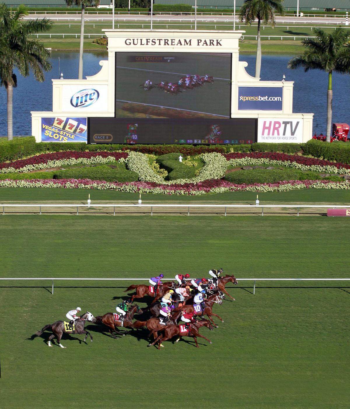 Thoroughbreds race on the turf at Gulfstream Park Racing & Casino on Saturday, Oct. 5, 2013. The Hallandale Beach track, at 901 S Federal Hwy., also draws visitors for shopping and dining, at the Village of Gulfstream Park.