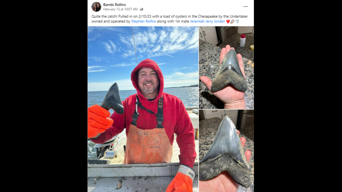 Bambi Rollins shared her husband’s tooth discovery with the Workboat Life Facebook group and has gotten 1,000 comments and reactions.
