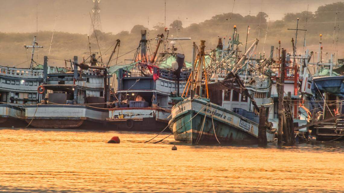 A fish bought from the Phuket Fishing Port in Thailand turned out to be a new species.