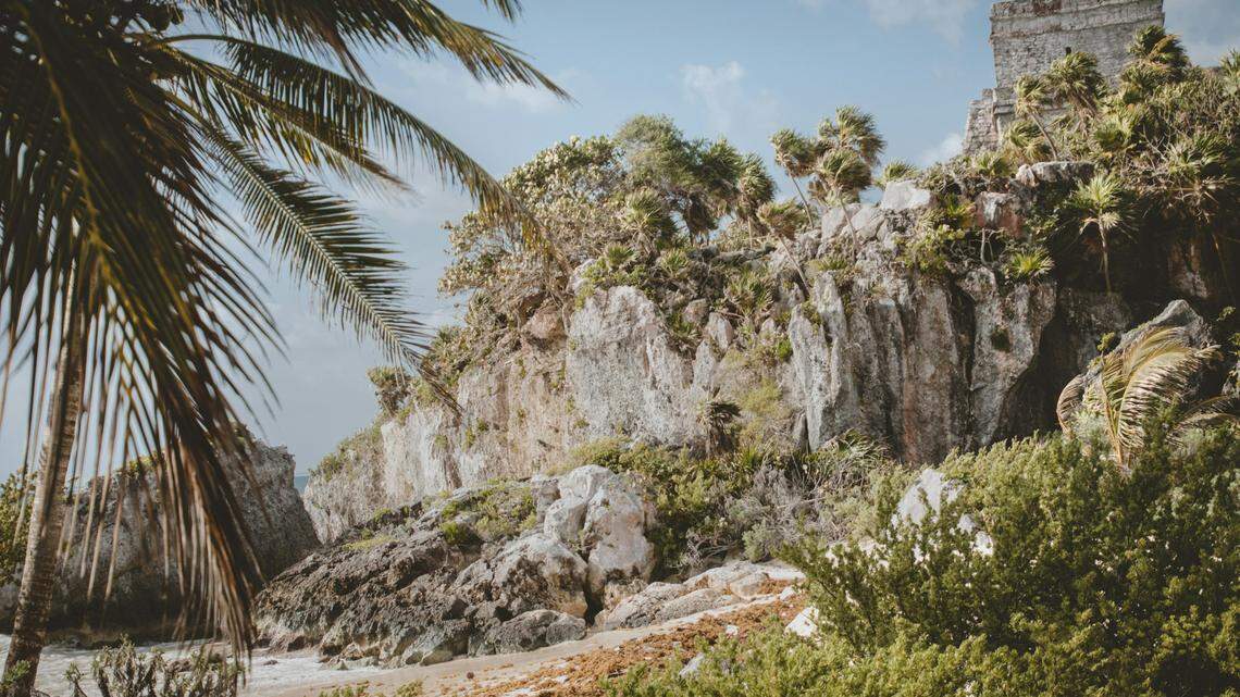 At a Mayan archaeological site in Quintana Roo, Mexico, researchers found evidence of an ancient sweet treat.