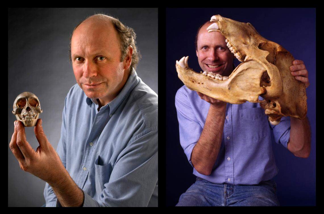 Bill Stanley, a longtime collections manager at the Field Museum in Chicago, caught the shrew as part of his last fieldwork before his death in 2015.