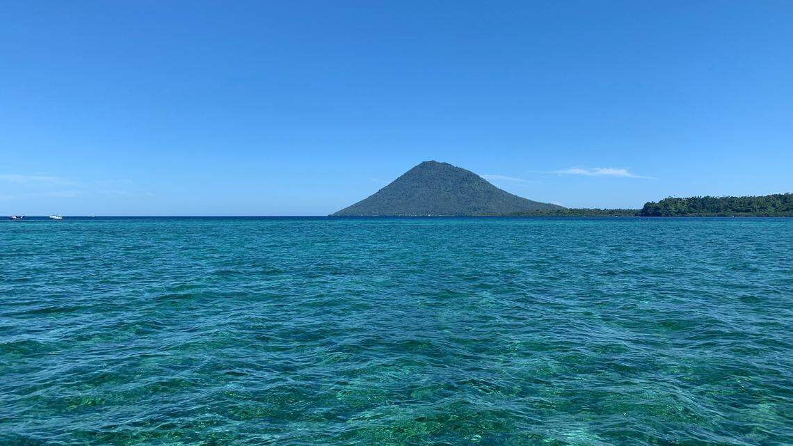 Scientists found a purple animal underwater in Indonesia and discovered a new species, the study said. Photo shows the ocean near Bangka Island.