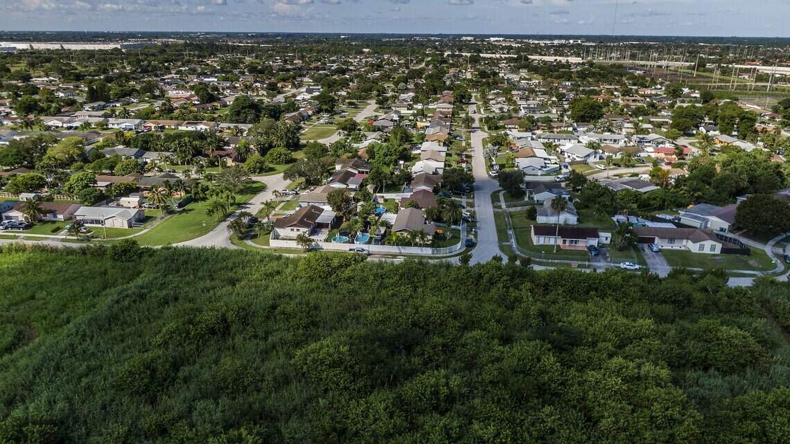 Florida is a national ‘hot spot’ for forest loss. Here’s what’s replacing the trees