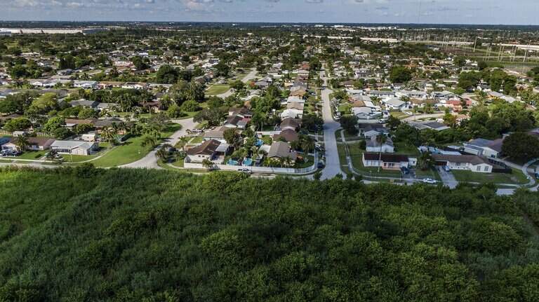 Florida, entre los puntos críticos de deforestación del país: ¿qué está reemplazando sus bosques?