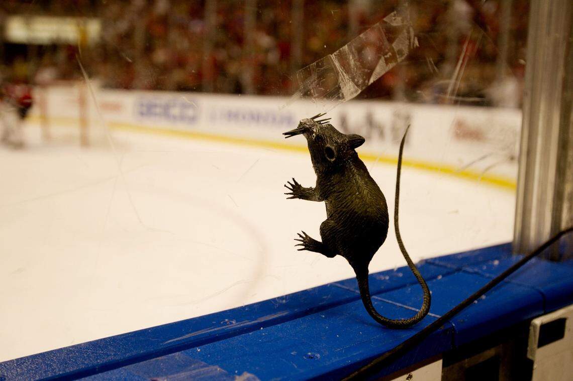 A fans rat sticks to the glass in the second period of the playoff game between the Florida Panthers and the New Jersey Devils at Bank Atlantic Center in Sunrise on April 13,2012.