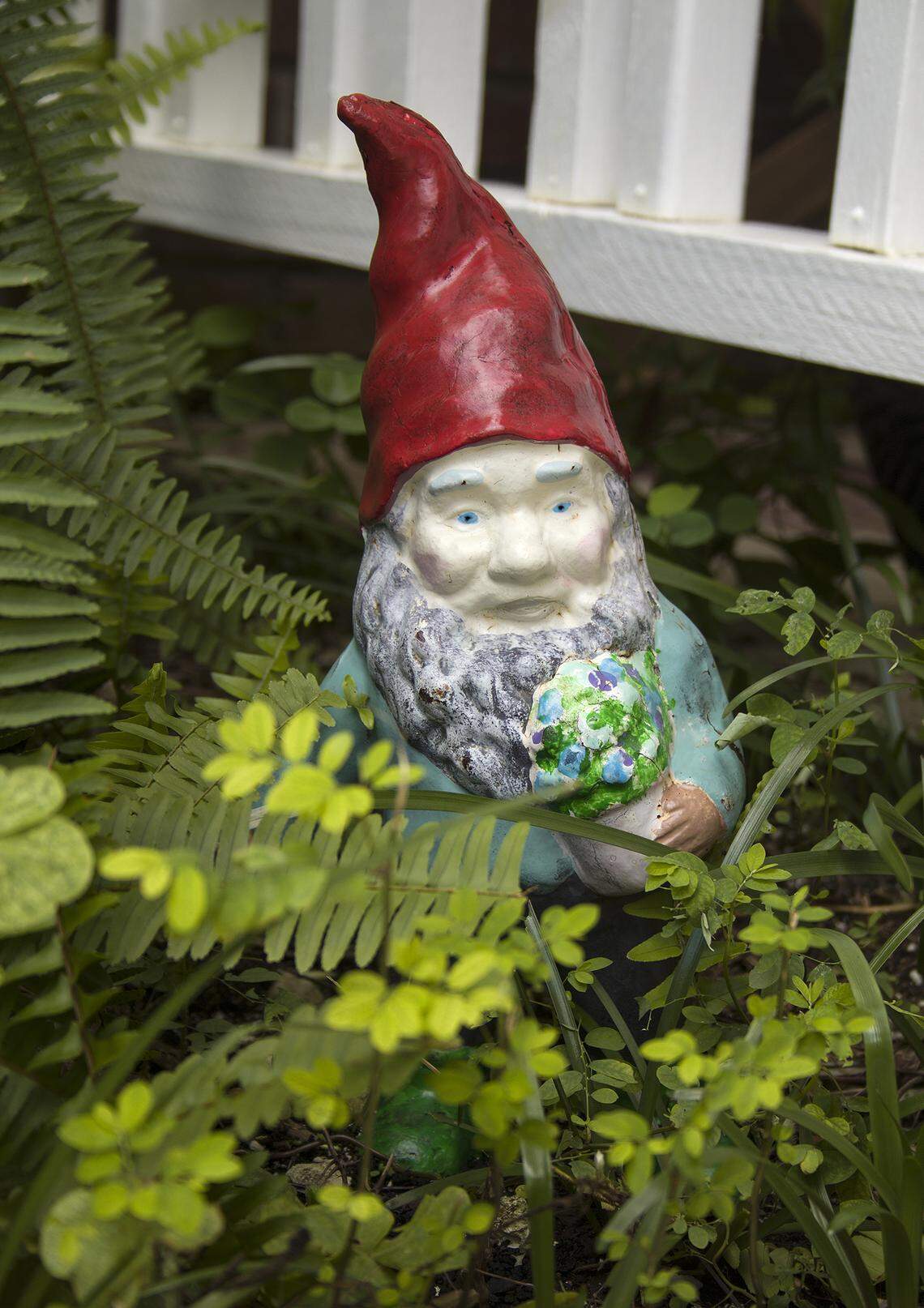 Garden gnomes are furtive and shy creatures, but can be coaxed into an occasional photo.