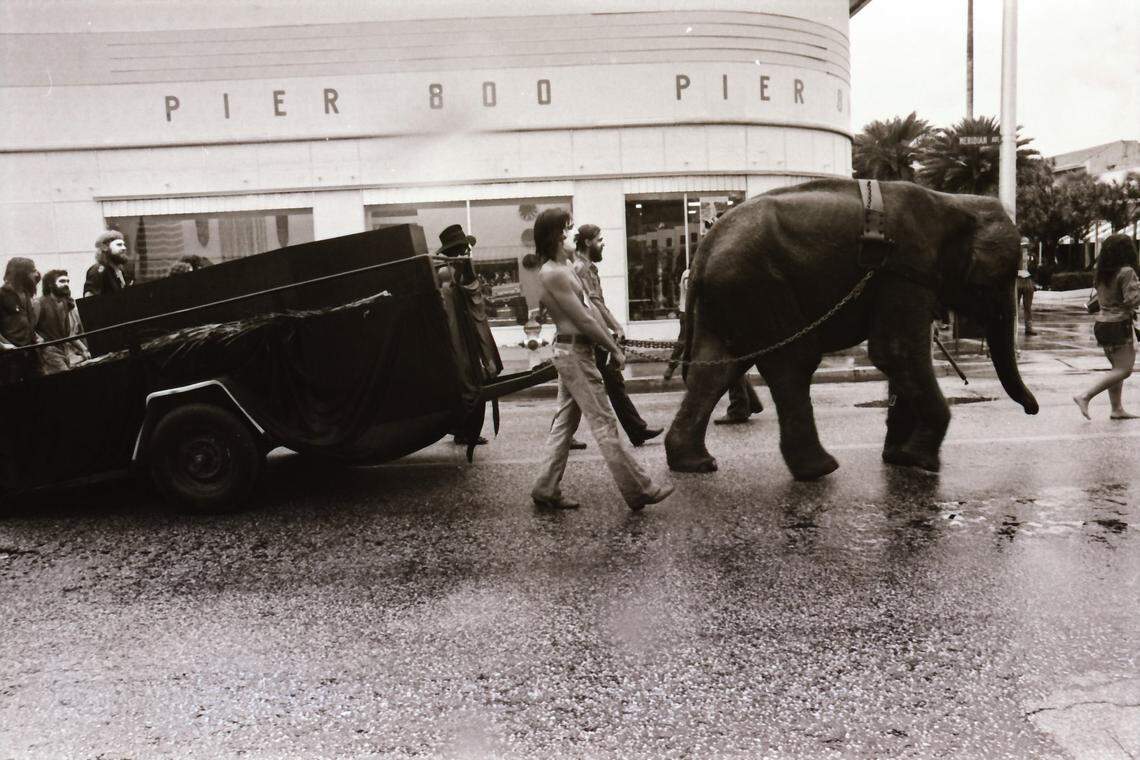 Protesters outside the 1972 Republican National Convention march with elephant down Meridian Avenue in Miami Beach.