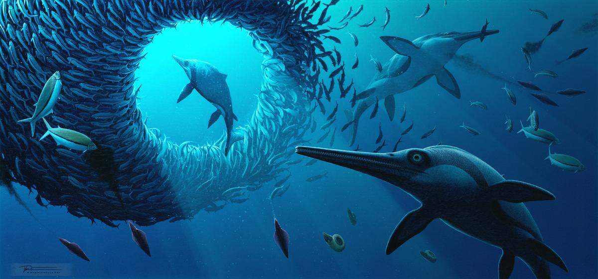 Ichthyosaurs have been called “sea dragons” for two centuries.