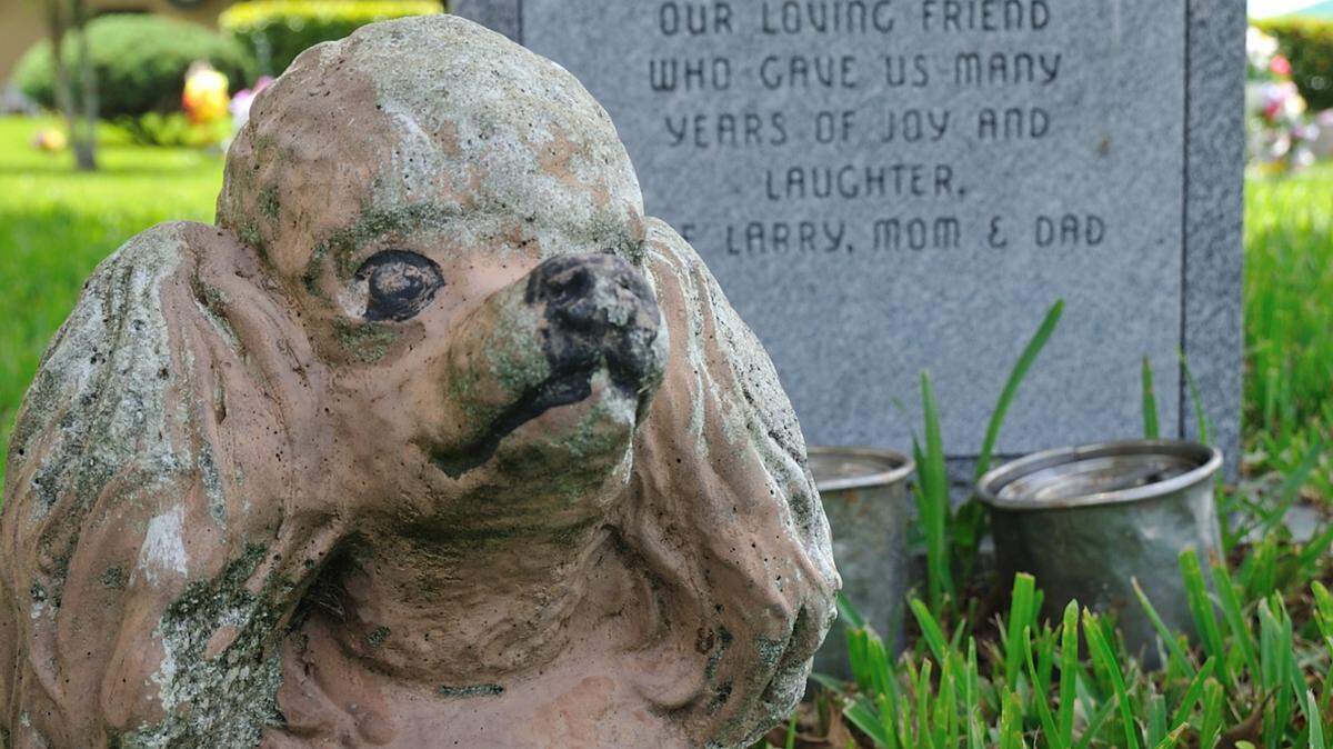 Is it illegal in South Carolina to bury a pet in your back yard?