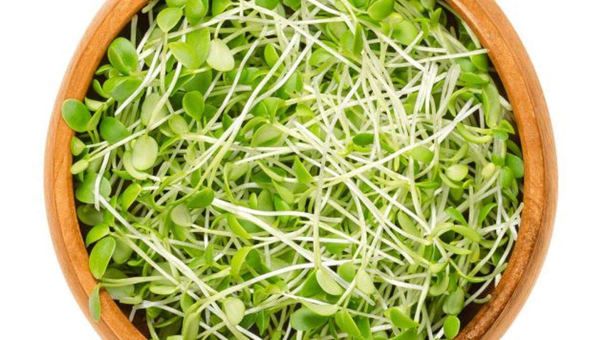 Raw sprouts