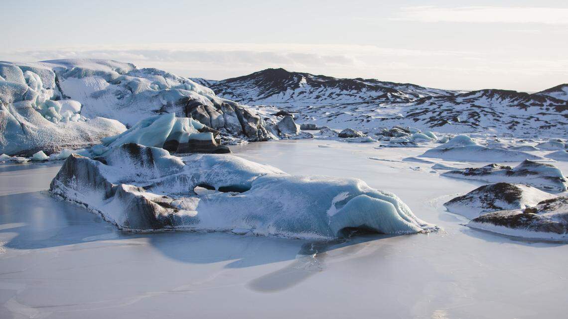 A pair of arctic wolf pups, Maya and Zhao, were cloned by Sinogene Biotechnology and born in China recently, photos and video footage show.