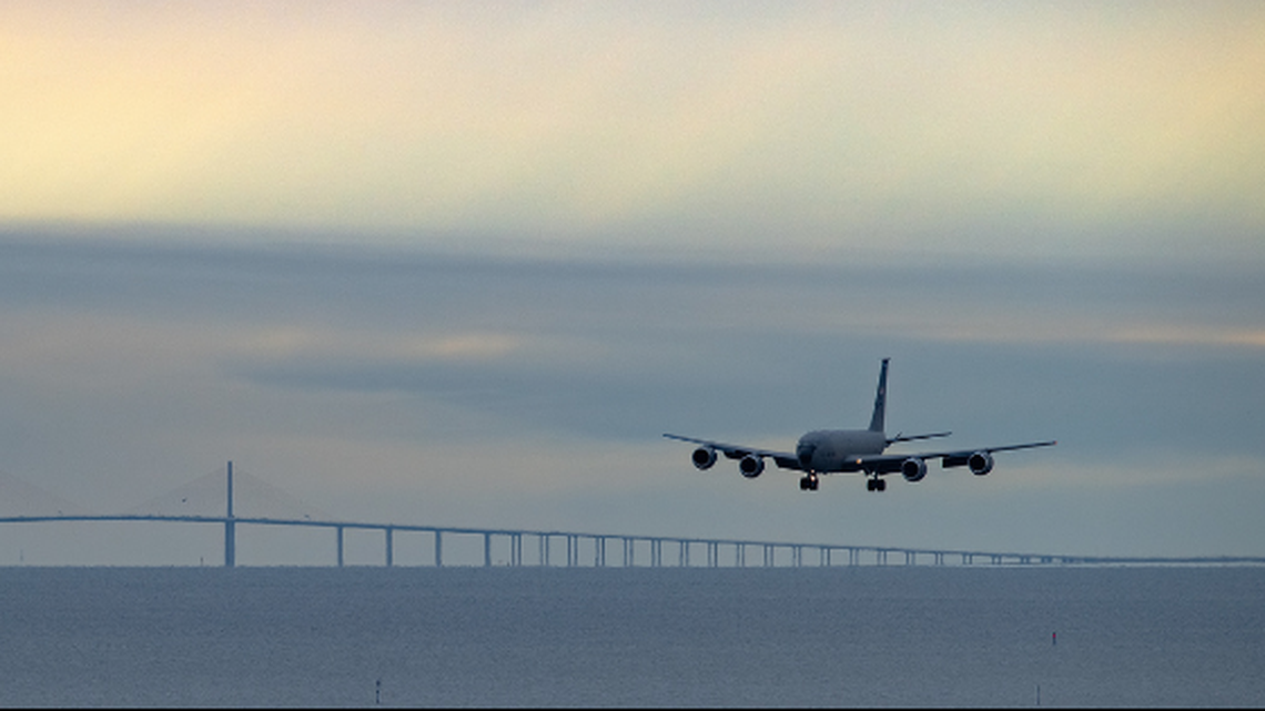 A manatee was found stuck in a puddle at the end of the runway at MacDill Air Force Base near Tampa, state officials say.