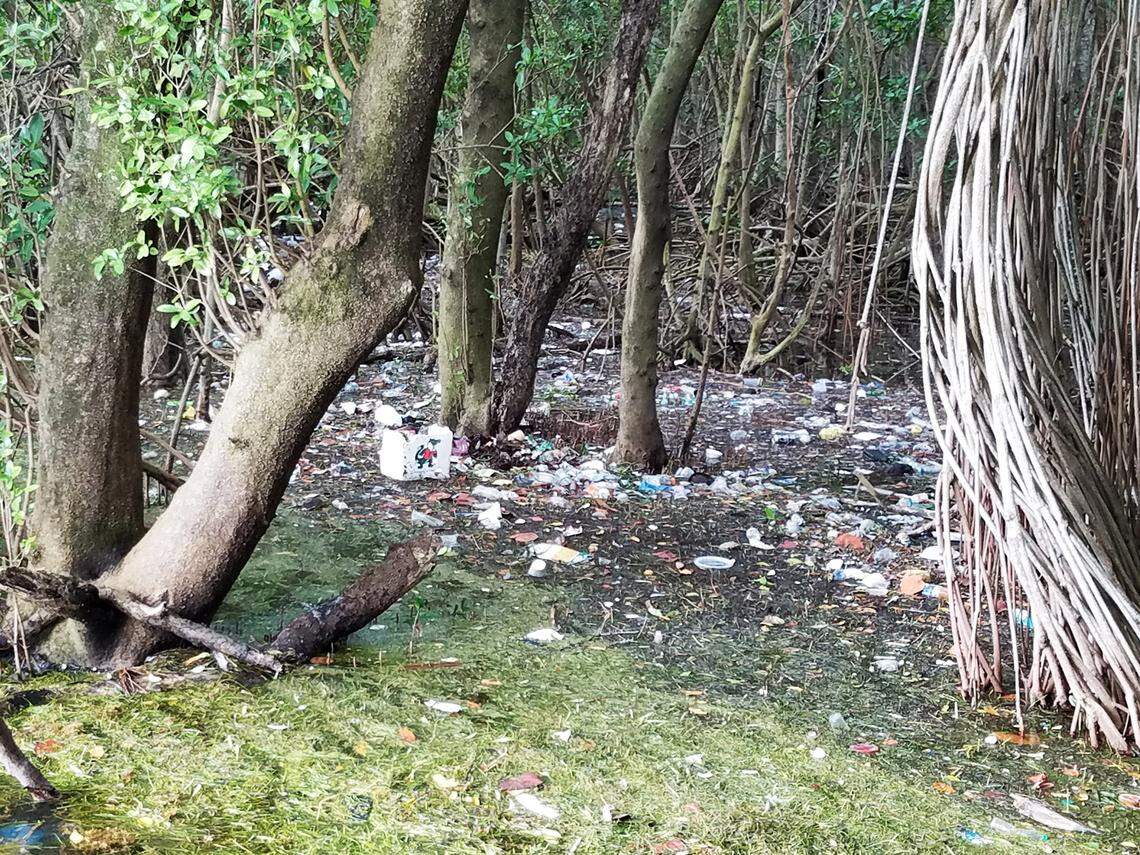 Trash often piles up along the shoreline of the urban bay, including behind the Vizcaya Museum & Gardens in 2016.