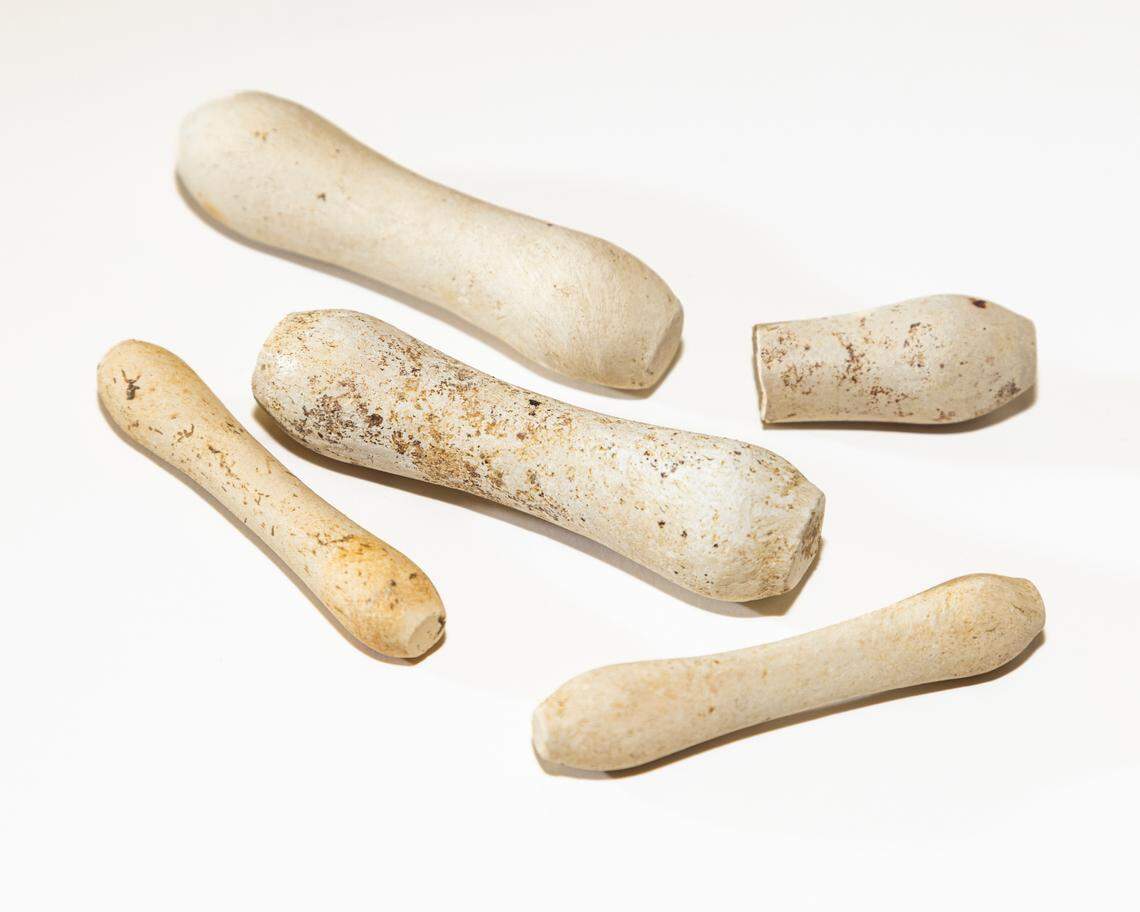 Dozens of clay wig curlers were found in the excavation, which hints the family was affluent, officials says.