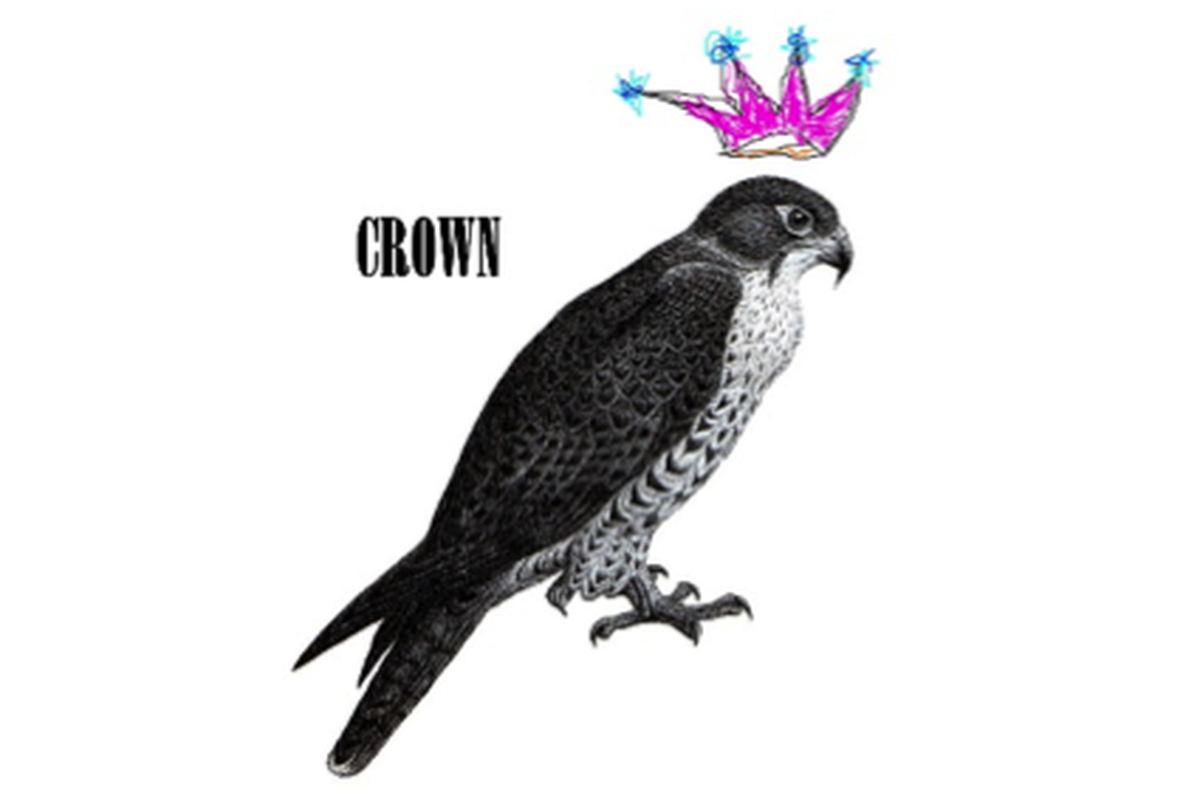 “Crown,” a new dance by brigid baker wholeproject, will be shown virtually and hosted by the Miami-Dade County Auditorium.