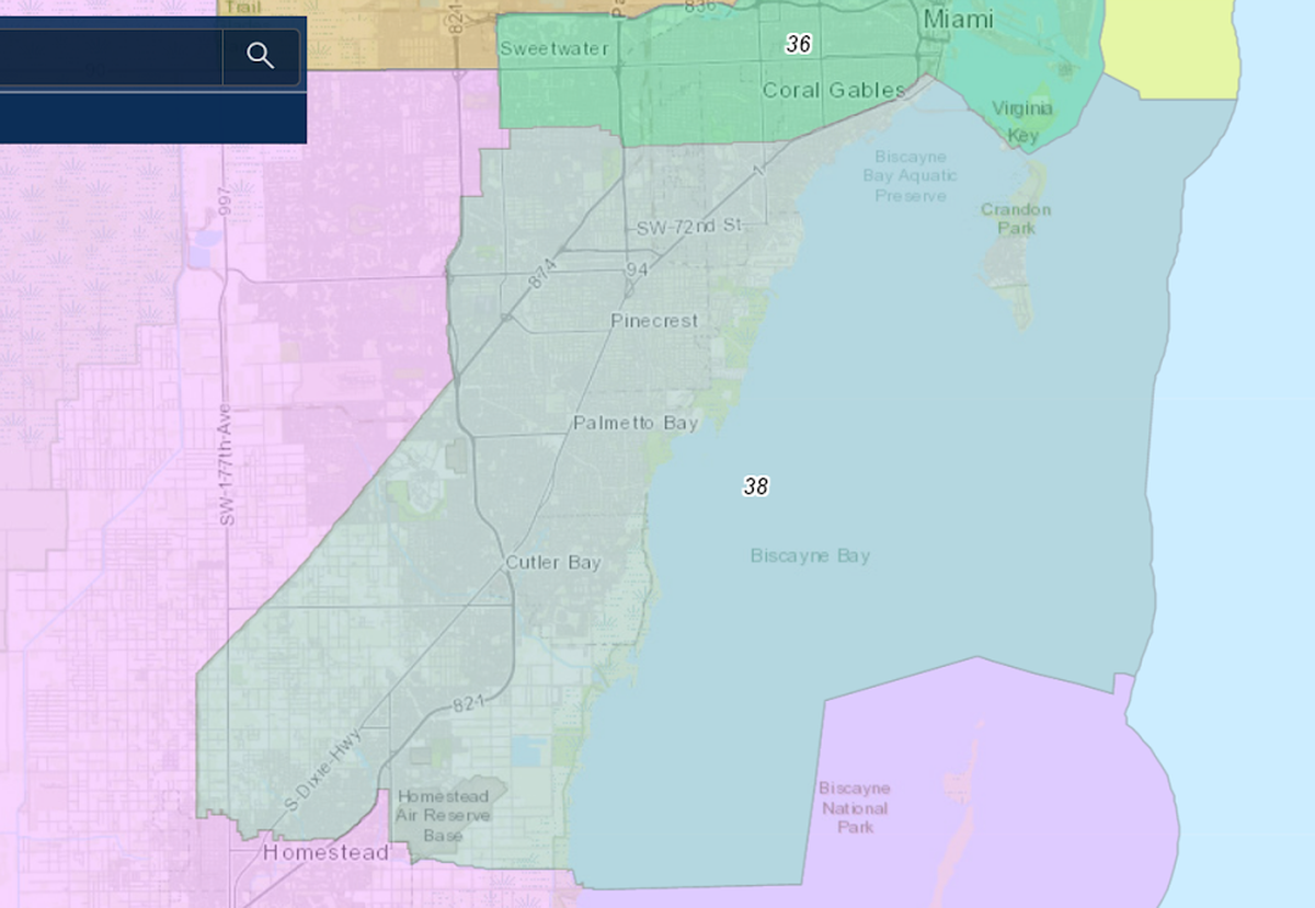 A map of Florida Senate District 38. Source: https://redistricting.maps.arcgis.com/apps/View/index.html?appid=a1efd16272984e47b9940f179a5cbe18