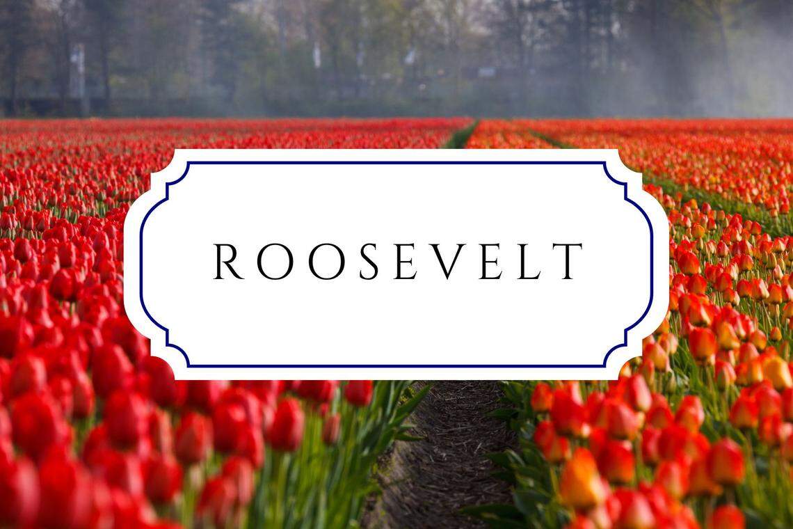baby names that mean gift roosevelt