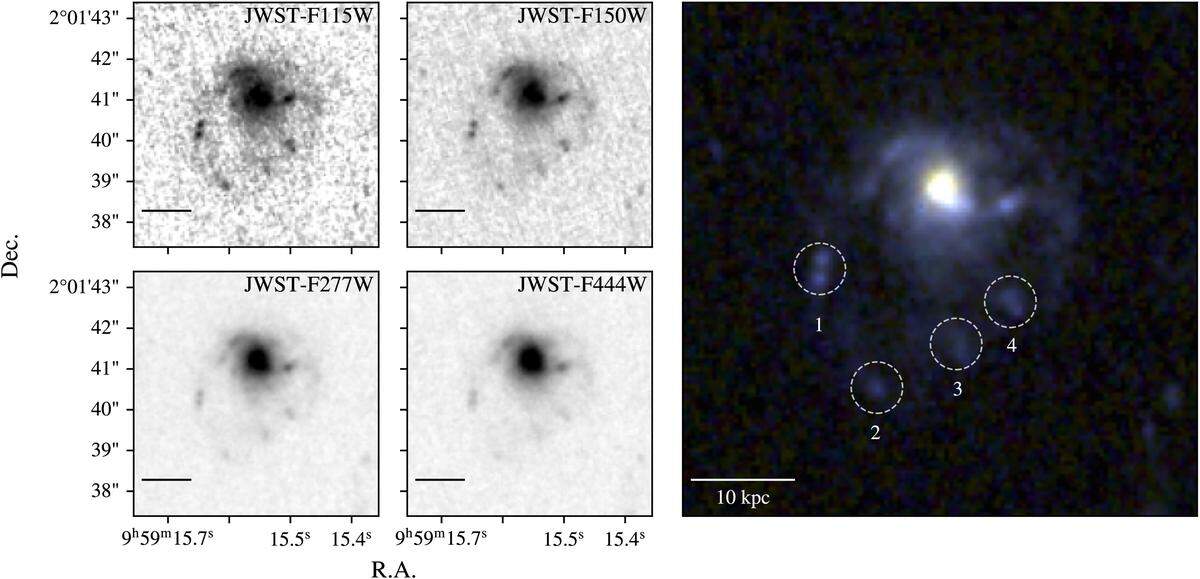 new jellyfish galaxy discovered