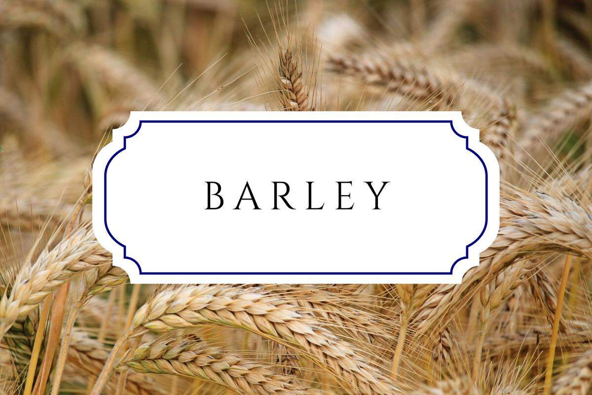 botanical baby names barley