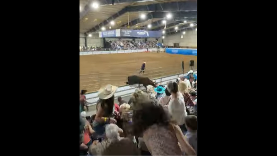 An escaped rodeo bull created a panic at the Florida State Fairgrounds, when it topped a fence and ran straight for the bleachers, according to video recorded by an audience member.