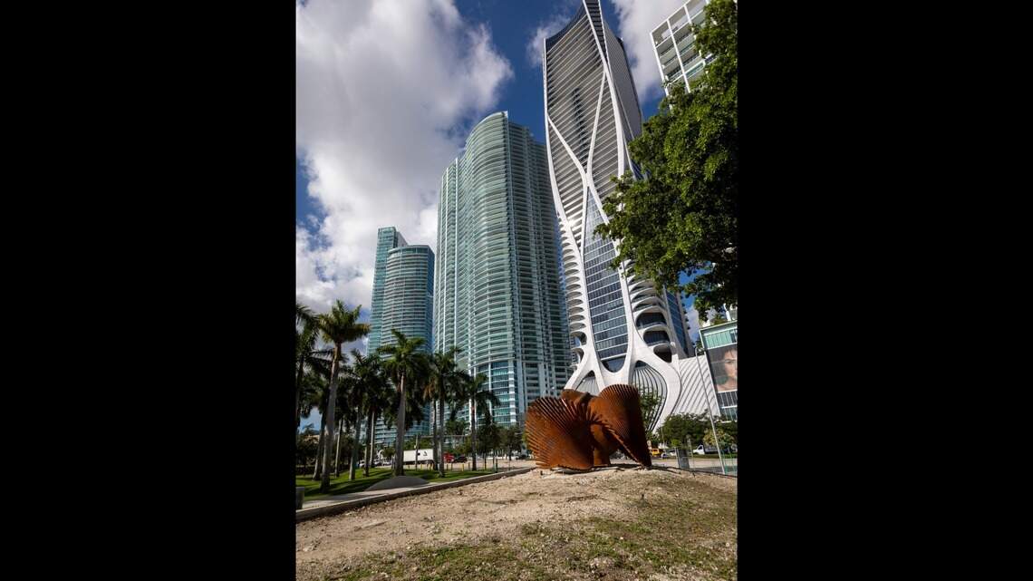 A giant tree in Miami waterfront park was chopped down by the city — without city approval