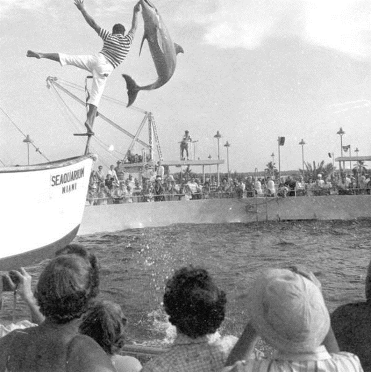 El Miami Seaquarium de Virginia Key abrió el 24 de septiembre de 1955.