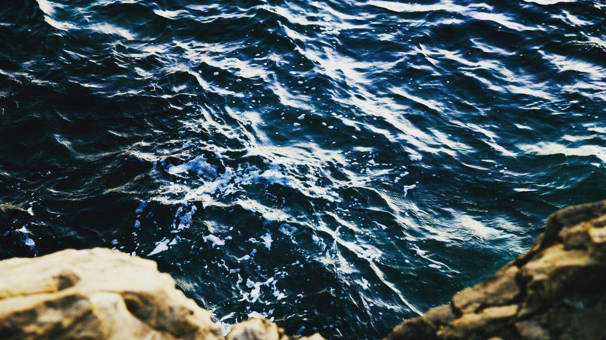 On a remote and rocky island in the Caribbean, a rare creature is making a remarkable comeback.