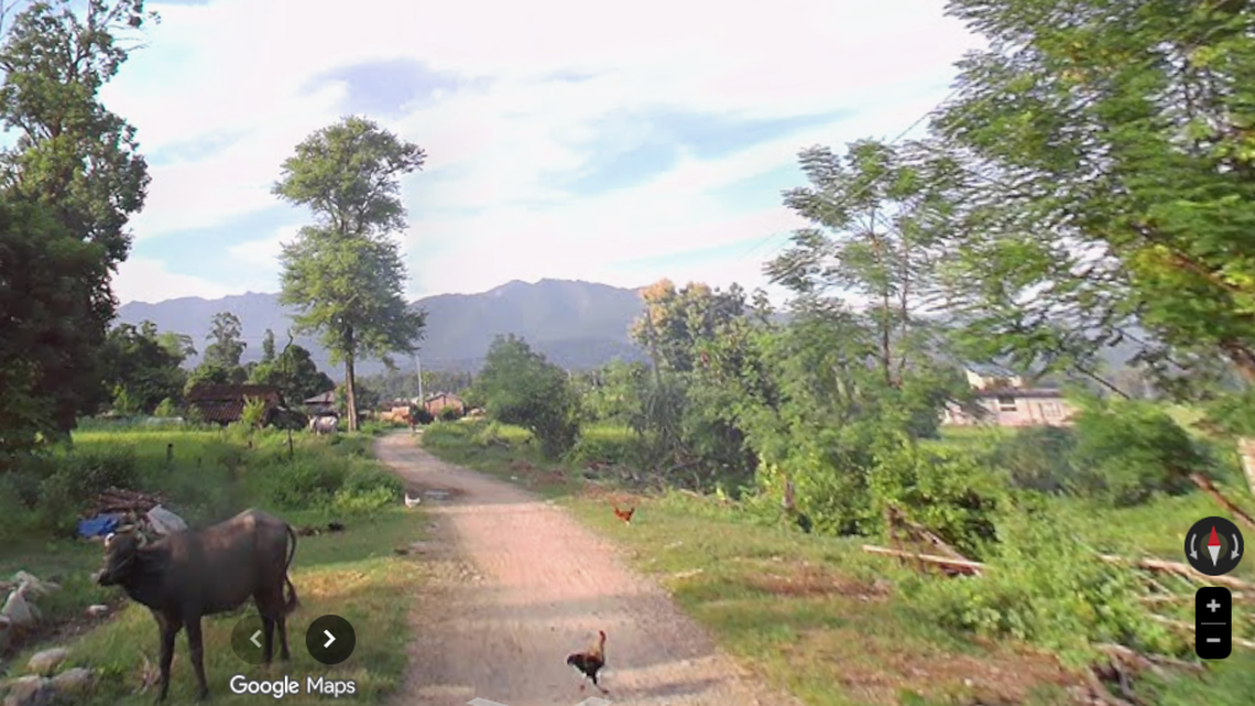 In the Kailali region of Nepal, a star-covered creature was confirmed for the first time.