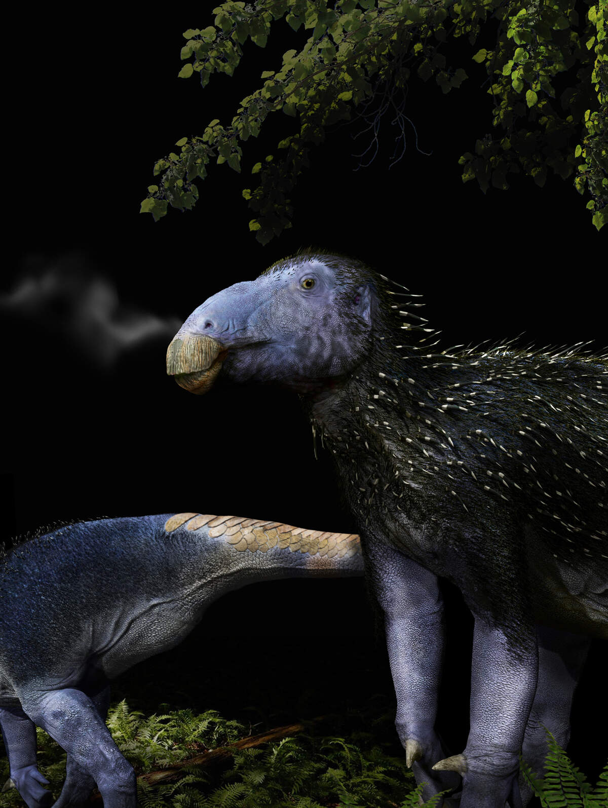new dinosaur species