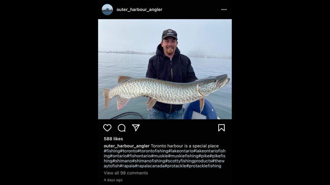 Will Sampson caught a rare muskellunge, known as a muskie, while fishing in the Toronto Harbor.
